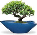 Bonsai Pot - 18 Inch Ceramic Planter for Indoor Outdoor Plants Bonsai Tree Pot Modern Large Succulent Planter Decorative Plant Pot with Drainage Hole Blue