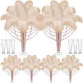 Yuxung 6 Sets Wedding Table Centerpiece Accessories Including 159 Pieces Natural Ostrich Feather Bulk Plastic Vases and Beads Necklaces for Wedding Home Party Centerpiece Supplies(Champagne)