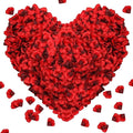2000Pcs Rose Petals, Artificial Flower Petals Fake Rose Petals for Romantic Night,Wedding,Proposal Anniversary Flower Decorations (Big Red Dot Black, 2000pcs)
