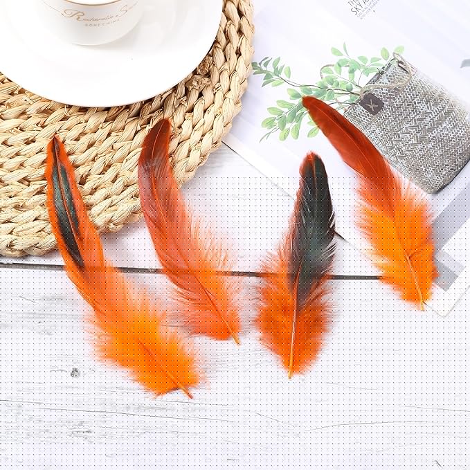 SOGUGOM Orange Rooster Tail Feathers - 200 pcs 5-7 inch Natural Long Rooster Tail Feathers Bulk for Craft Projects, Halloween, Hats and Party(Orange)