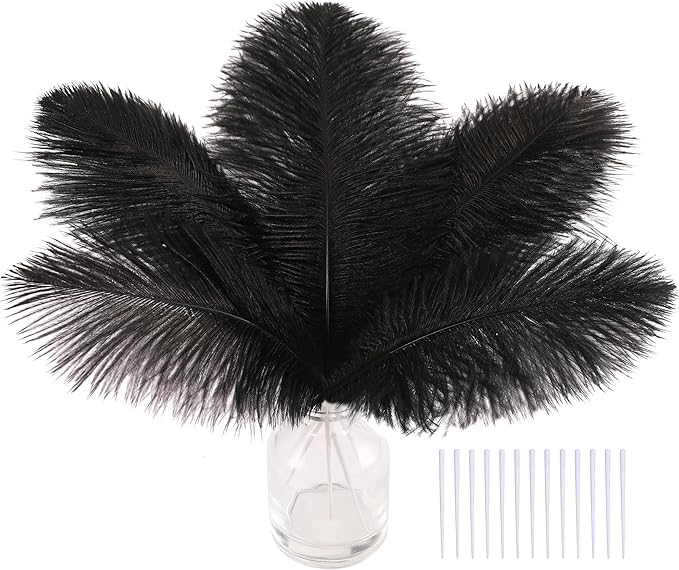 SOGUGOM Black Craft Ostrich Feathers - 30PCS 8-10 inch Ostrich Feathers Kit for Centerpieces, Kindergarten Crafts, Dream Catchers and DIY Projects(Black)
