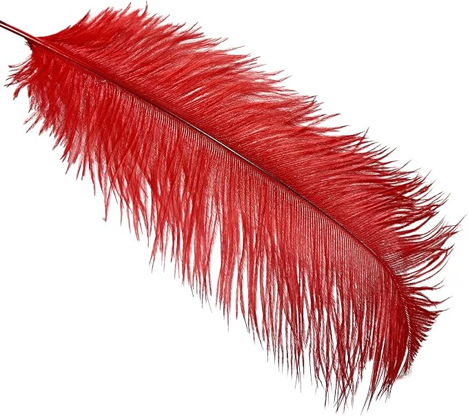 Happy Feather 16-18 inch Red Ostrich Feathers Craft for Wedding Party Centerpieces Home Decoration DIY Craft Pack of 10
