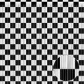 Crosize 2 Pack 3.3 x 9.9 ft Black & White Foil Fringe Curtains Party Decorations, Black & White Tinsel Curtain Backdrop for Parties, Door Streamers, Glitter Streamer Backdrop for Birthday Decoration