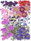 11 Types 46pcs Real Dried Pressed Flowers Leaf Plant Herbarium for DIY Resin Jewelry Making Floral Decors (Purple)