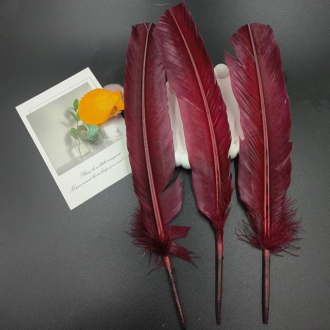 Burgundy Turkey Feathers,22 Pcs Natural Feathers Bulk Long 10-12 inch (25-30cm),Turkish Feather for Crafts DIY Wedding Home Party Mardi Gras Decorations (Burgundy)