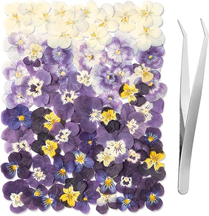 60Pcs Dried Pressed Pansies Flowers for Cake Decorating, Purple Real Dry Flower for Resin Art Crafts Jewelry Decorations
