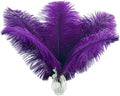 Ballinger Purple Ostrich Feathers Bulk - 24Pcs 8-10inch Feathers for Vase, Party Centerpieces Mardi Gras and Home Decor