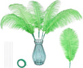Bulk Grass Green Ostrich Feathers - 12pcs 12-14inch Crafting Supplies for Centerpiece Table Decorations