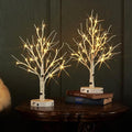 LITBLOOM 2 Sets Lighted Tabletop Birch Tree with Timer USB Plug-in or Battery Operated, Easter Tree Lights 18IN 24 LED for Wedding Party Christmas Table Decoration