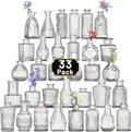 Glass Bud Vase Set of 33 Pcs Small Minimalist Vases for Flowers, Vintage Rustic Home Decor for Table Centerpiece Wedding Party, Modern Clear Aromatherapy Bottle for Living Room Bedroom