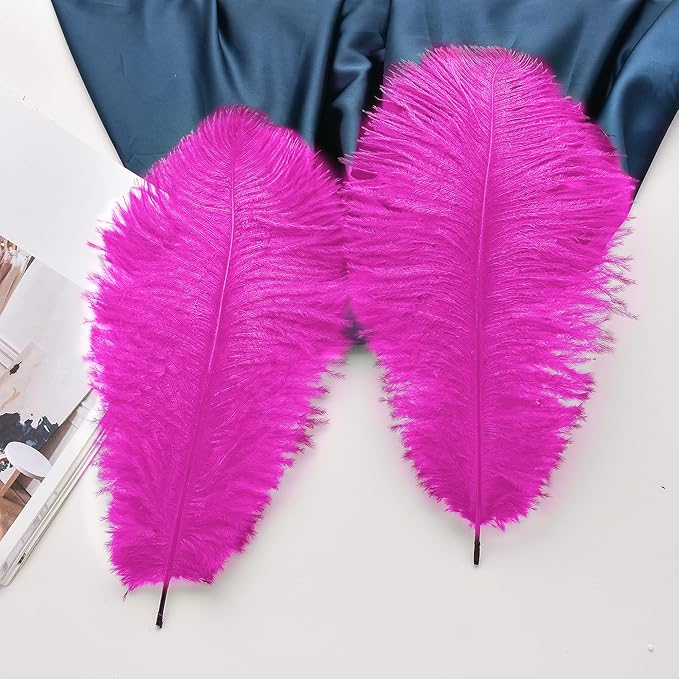 Ballinger Fuchsia Large Ostrich Feathers - 12Pcs 14-16inch Large Feathers for Vase,Theme Party Centerpieces and Holiday Home Decor