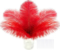 SOGUGOM Red Craft Ostrich Feathers - 30PCS 8-10 inch Ostrich Feathers Kit for Centerpieces, Kindergarten Crafts, Dream Catchers and DIY Projects(Red)