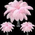 Maitys 90 Pcs Large Natural Ostrich Feathers Bulk 14-16 Inch (35-40cm) 12-14 Inch (30-35cm) 10-12 Inch (25-30cm) Ostrich Feathers Plumes for Centerpieces Wedding(Pink)