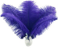 Ballinger Royal Blue Long Ostrich Feathers - 12Pcs 14-16inch Large Feathers for Tall Vase,Wedding Party Centerpieces and Holiday Home Decor