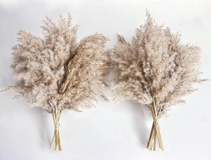 Pampas Grass Decor, Natural Dry Pampas Grass Small, Short Pampass Bulk for Farmhouse, Wall, Kitchen, Bedroom Decor, Office Decor (17 inch )