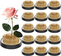 Sliner 16 Pieces Floral Frogs Round Flower Holder Japanese Ikebana Vase Kenzan Flower Flower Arranger Flower Fixed Tools Pin for Flower Arrangement Home DIY Craft(Gold,2.76 Inch)