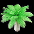 THARAHT Green Ostrich Feathers 24pcs Natural Bulk 8-10Inch 20cm-25cm for Crafts Wedding Party Centerpieces Mardi Gras and Home Decoration Feathers