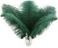 Ballinger Blackish Green Ostrich Feathers Bulk- 24pcs 10-12inch for Wedding Party Centerpieces Christmas Decor