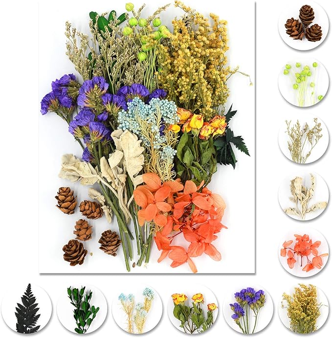 Vignee Real Dried Pressed Leaf Flowers-Multiple Colorful Pressed Flowers Daisies for Craft Resin Jewelry Making Art Craft DIY（Violet+Green）