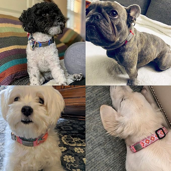 Personalized Dog & Cat ID Tags - No Noise, Engraved, Slide On - Custom Collar Tags for Small, Medium, Large Pets - Silent Puppy Identification Tags