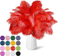 NEWONG 30pcs red Ostrich Feathers Natural Bulk 8-10inch(20-25cm) Vase Craft Wedding Home Party Centerpieces Christmas Day Decoration