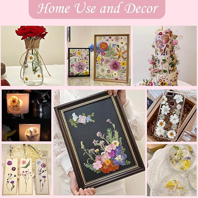 100 Pcs Large Dried Pressed Flowers for Crafts, Real Natural Flowers in Vibrant Colors for Resin, DIY Art, Jewelry & Soap Making – Tweezers Included