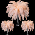 Maitys 90 Pcs Large Natural Ostrich Feathers Bulk 14-16 Inch (35-40cm) 12-14 Inch (30-35cm) 10-12 Inch (25-30cm) Ostrich Feathers Plumes for Centerpieces Wedding(Champagne)