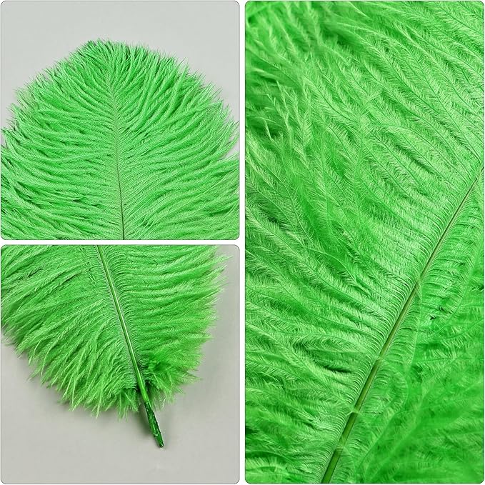 THARAHT Green Ostrich Feathers 12pcs Natural Bulk 10-12Inch 25cm-30cm for Crafts Wedding Party Centerpieces Mardi Gras and Home Decoration Feathers